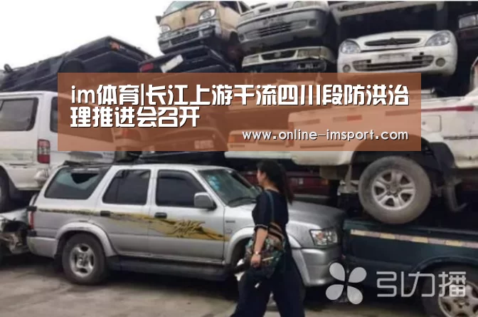 im体育|长江上游干流四川段防洪治理推进会召开(图1) im体育