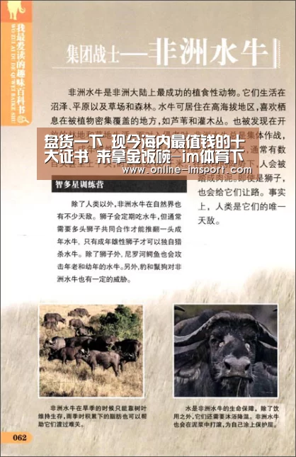 im体育投注
