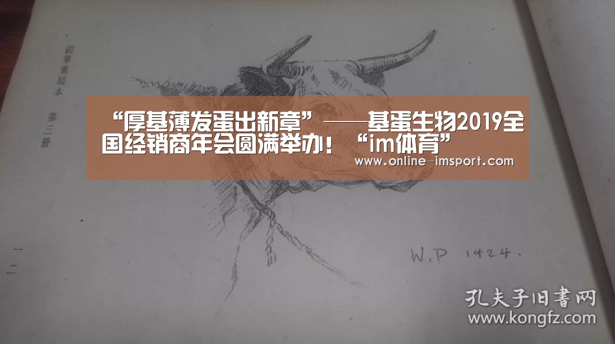 im体育下载