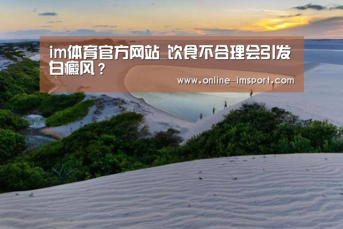 im体育官方网站