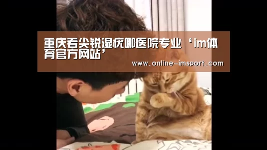 im体育